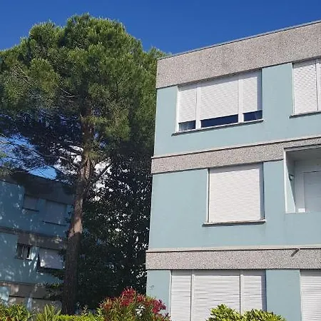 Apartman Limonium *